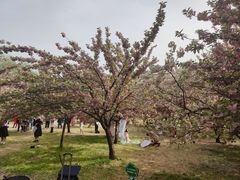 -莲花池公园