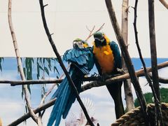 -西安秦岭野生动物园