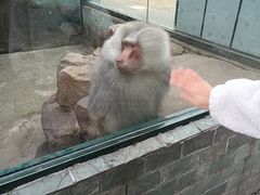 -无锡动物园·太湖欢乐园