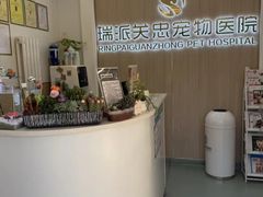 -瑞派·关忠动物医院·猫专科·犬专科(三环新城店)
