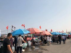 -东疆建设开发纪念公园