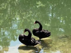 -钓鱼台国宾馆