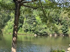 -九如山休闲旅游度假区