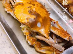-白仁仔· 活烤海鲜 宵夜(豫园店)