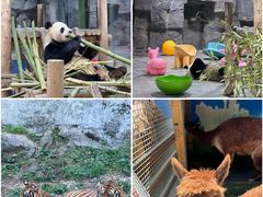 -栾川竹海野生动物园
