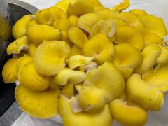 -朴小妹人参鸡汤火锅(长白山万达店)