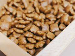 -PETKIT小佩宠物(古北店)