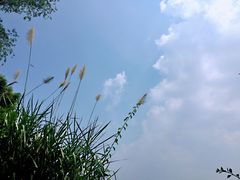 -火炉山森林公园