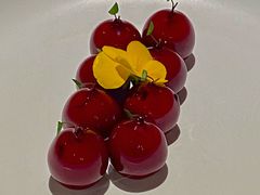 樱桃鹅肝-玫瑰厅上海菜(兴国路店)