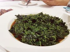 -圆苑(静安寺店)