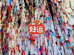 -重庆海昌加勒比海水世界