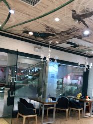 点击看大图 -小阿福儿童摄影(摩尔城店)