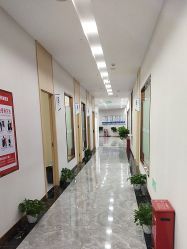-碧莲盛·不剃发植发