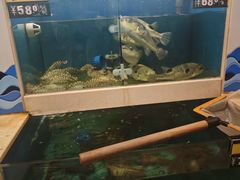 -喜来酌海鲜·饺子(和平一店)