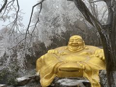 -紫金山山顶公园