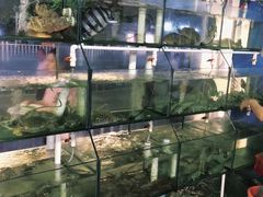 -凯华海鲜火锅·传承三十六年