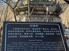 -文瀛公园
