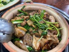 -华仔土鸡店(南洲分店)