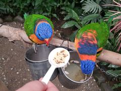 -南宫五洲植物乐园