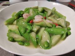 -秀儿四九城·新京菜(亚运村鸟巢店)