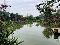 -洪湖家庭农场·团建·露营·会议