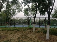 -回龙观体育文化公园