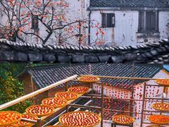 -婺源风景区