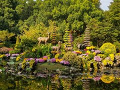 -杭州植物园