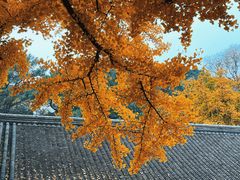 -红螺寺