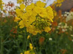 -中国天府农业博览园