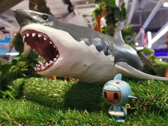 -TOYSRUS玩具反斗城(上海万象城店)