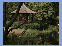 -上海共青森林公园