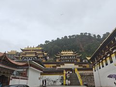 -四川郎木寺镇