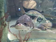 -波塞冬旅游度假区