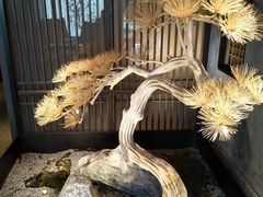 -百富源·海鲜辽菜(浑河堡店)