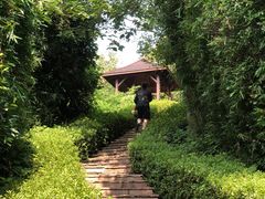 -天目湖涵田半山温泉