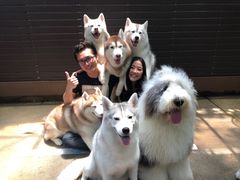 -TrueLove @ Neverland (Husky Cafe)