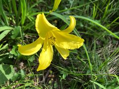 -白草畔自然风景区