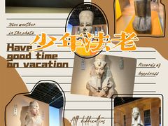 -上海博物馆(人民广场馆)