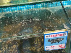 -琼大师东方烤乳猪(亚特兰蒂斯店)