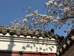 -长春观