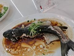 -旭璟酒家·传统粤菜·湘菜(逸景路店)