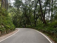 -三门江国家森林公园