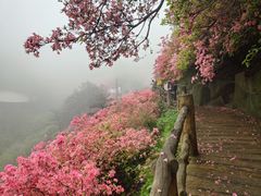 -木兰云雾山
