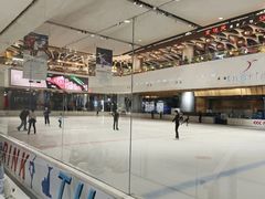 -TheRink大零溜冰场(IFS国金中心店)