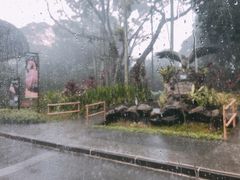 -新加坡飞禽公园