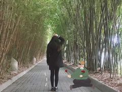 -安仁古镇