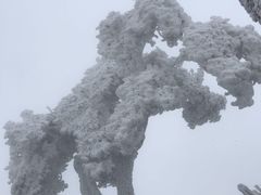 -大连天门山国家森林公园