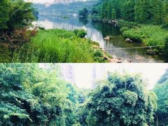 -重庆彩云湖湿地公园