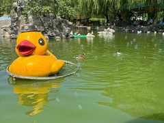 -团结湖公园